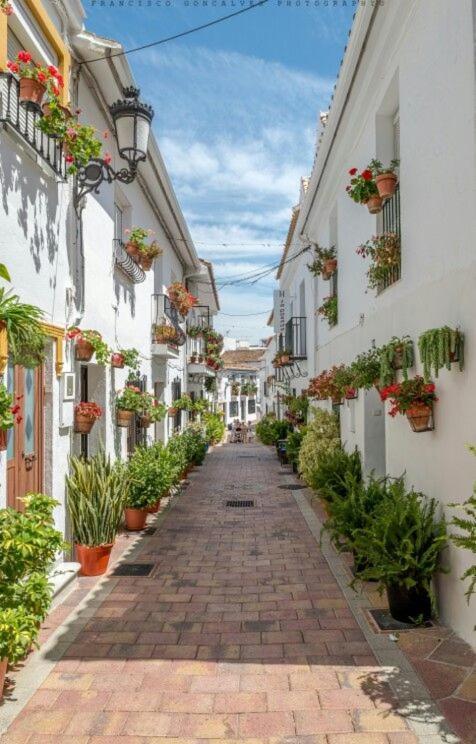 Trebol Apartamentos Benalmadena Arroyo De La Miel Eksteriør billede